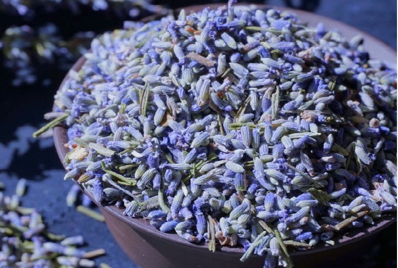 Nụ hoa Lavender Organic